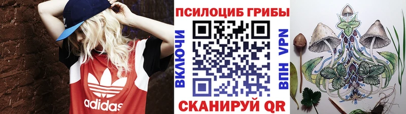 МЕГА онион  дарнет шоп  Олёкминск  Галлюциногенные грибы мицелий 